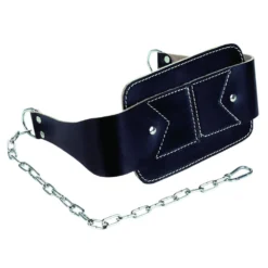 Tunturi Belt For Inversion