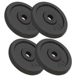 VIDAXL Weight Plates 20Kg 4 Units