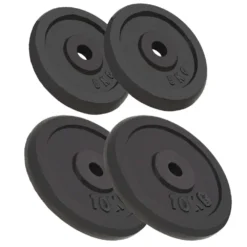 VIDAXL Weight Plates 4 Units Cast Iron